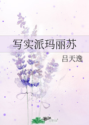 写实派玛丽苏
